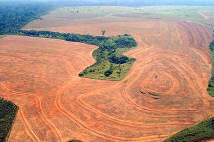 Increase in Amazon deforestation