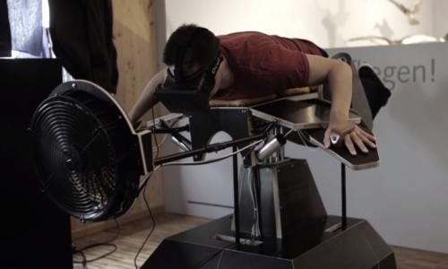 Flight Simulator:Give you feel of flying like a bird