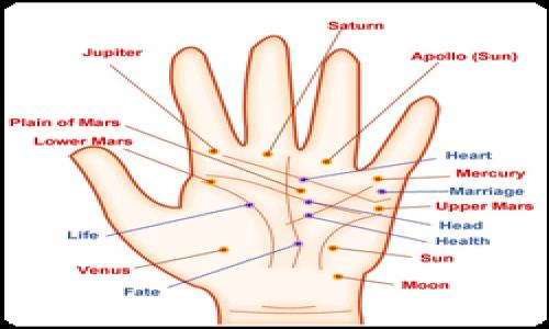 Some Palmistry facts.