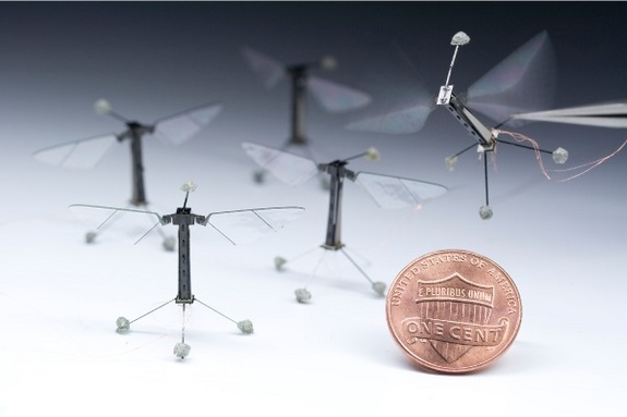 Tiny Fly-Size Robots takes it's first flight